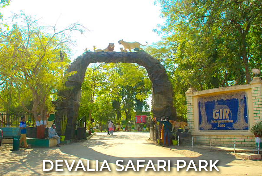 devalia safari park