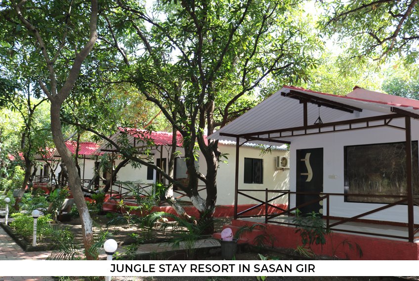 hotels-in-sasan-gir