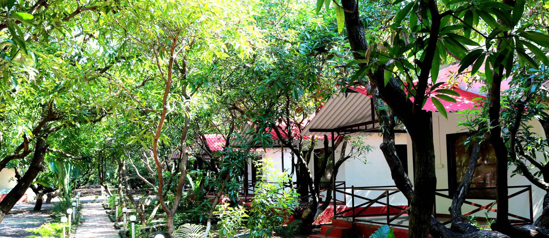 The Wilds Villa Gir